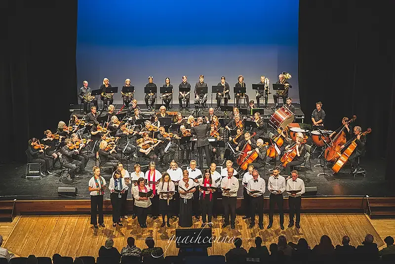 Doctors Concert